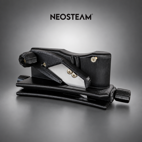 260 - NeoSteam