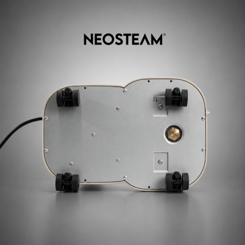 32 - NeoSteam
