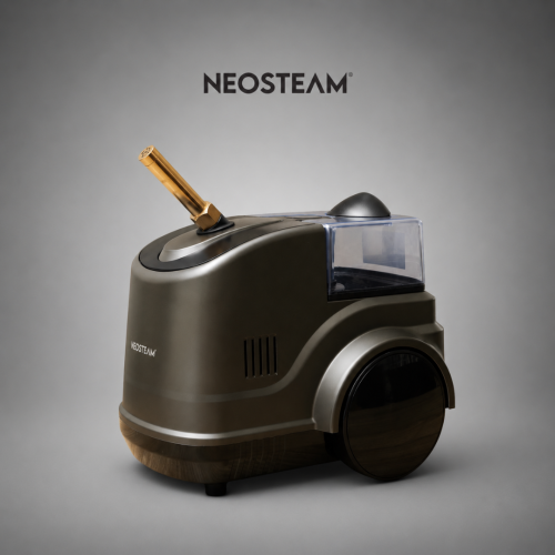 21 2 - NeoSteam